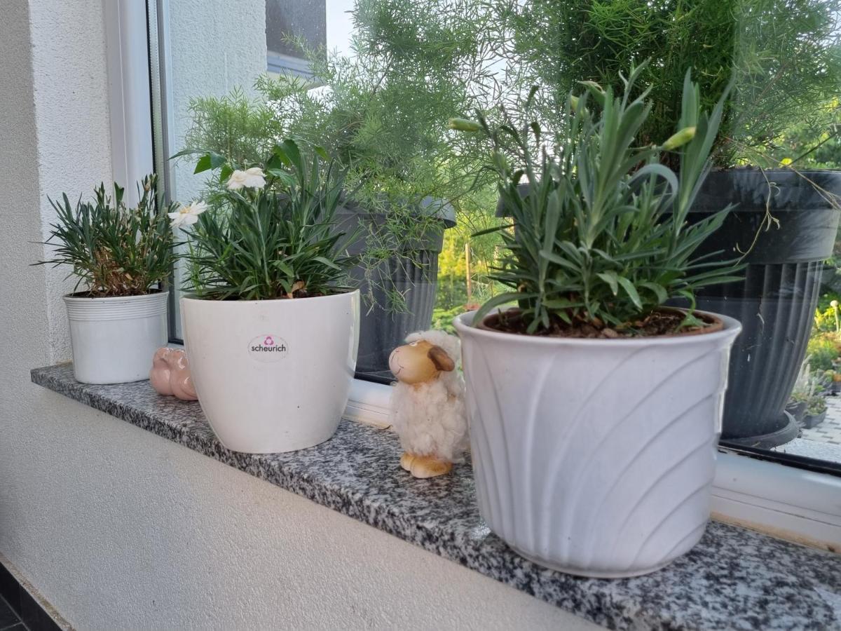 Apartman Nataly Varaždin Zewnętrze zdjęcie